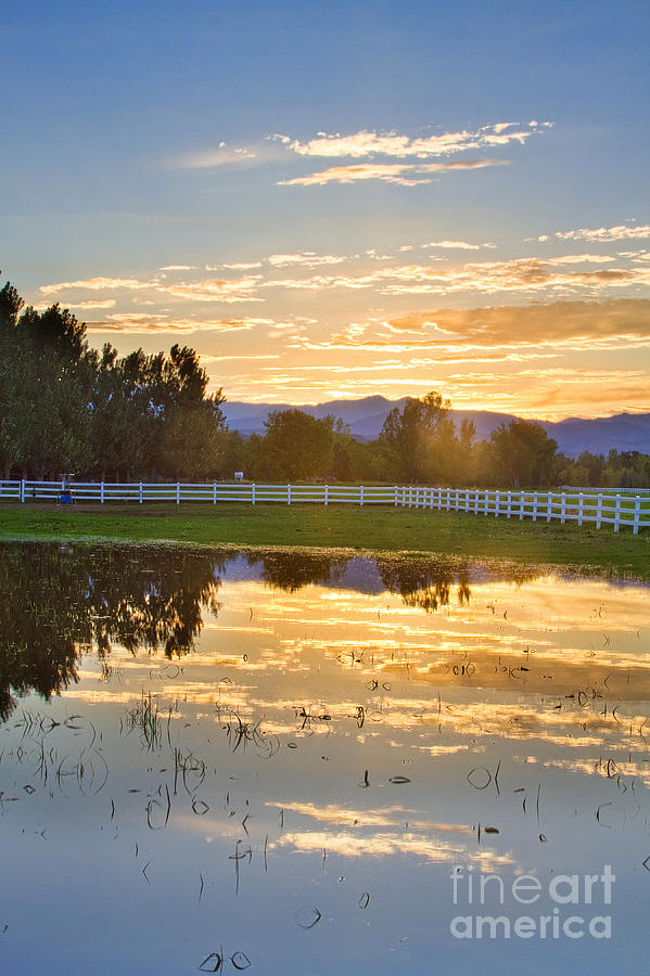 Tree Photograph - Flooded Pasture Country Sunset by James BO Insogna