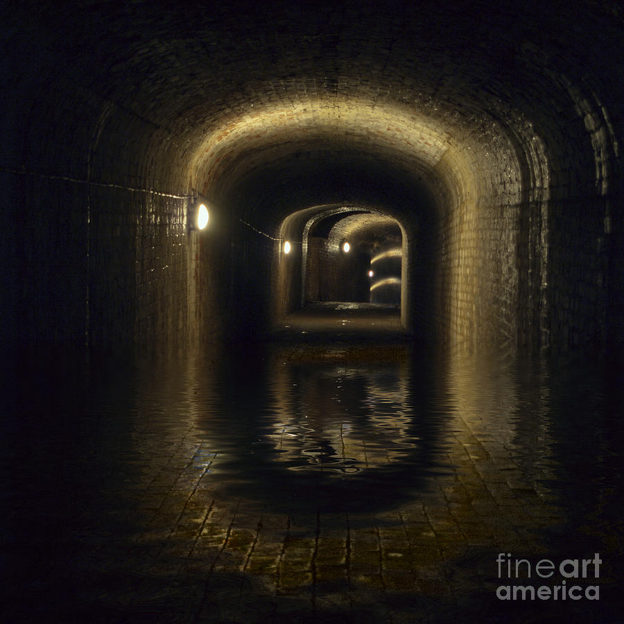 Flooded tunnel Photograph by Steev Stamford