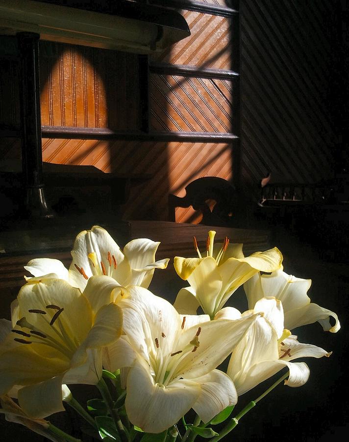 FLORA Lilies in a vacant house Photograph by William OBrien