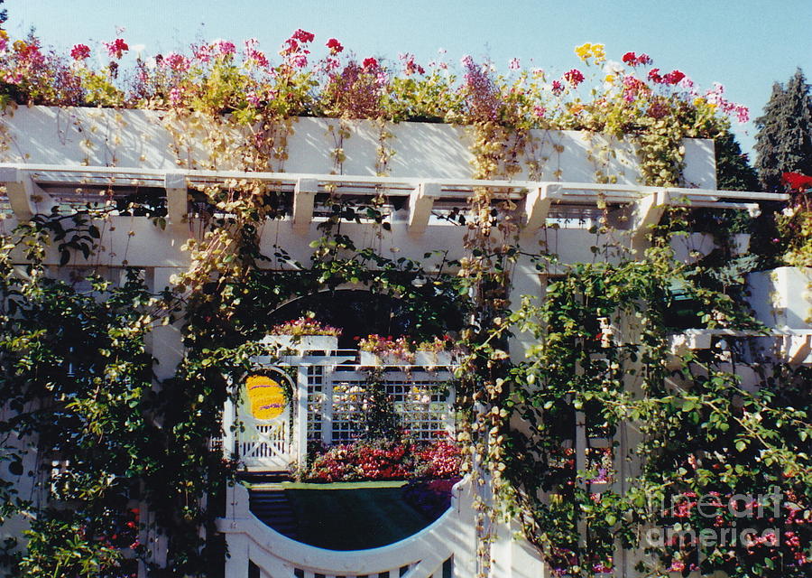 Floral Bedecked Gates and Trellises Photograph by Barbara Plattenburg