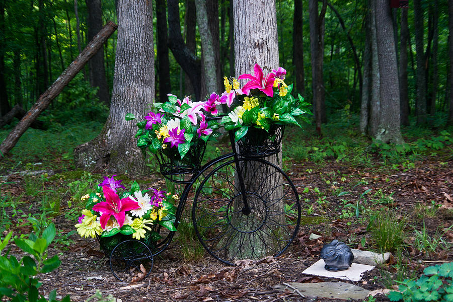 Flower Photograph - Floral Bicycle on a Cloudy Day by Douglas Barnett