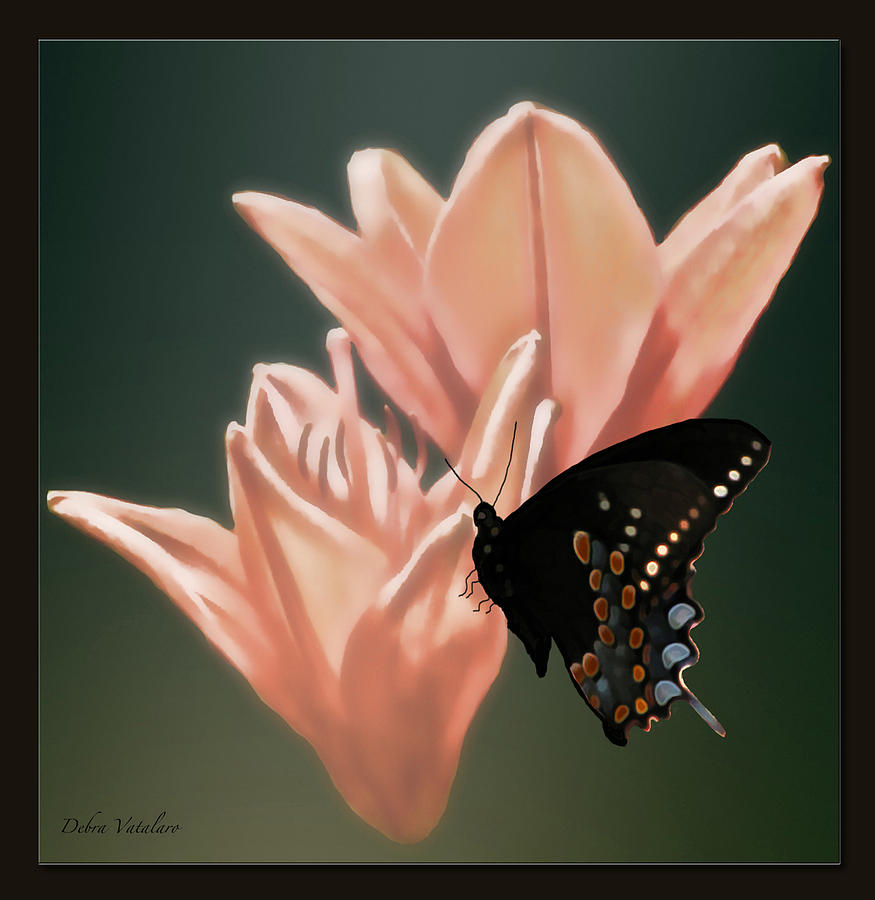 Floral Butterfly Dance Photograph by Debra     Vatalaro
