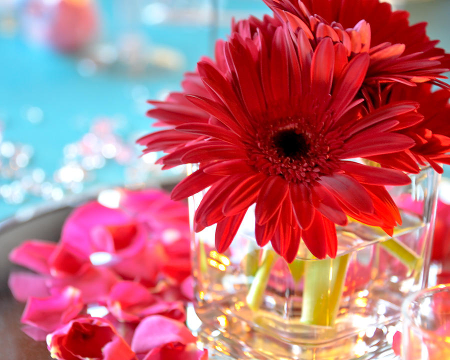 Floral centerpiece Photograph by Anthony Citro