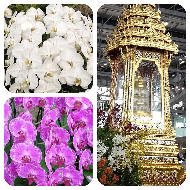 Buddha Photograph - Floral Display At Bangkok Airport by Will Banks