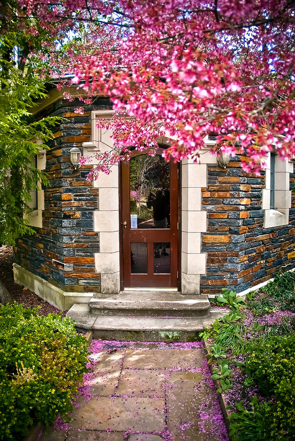 Floral Entrance Photograph by Gene Hilton