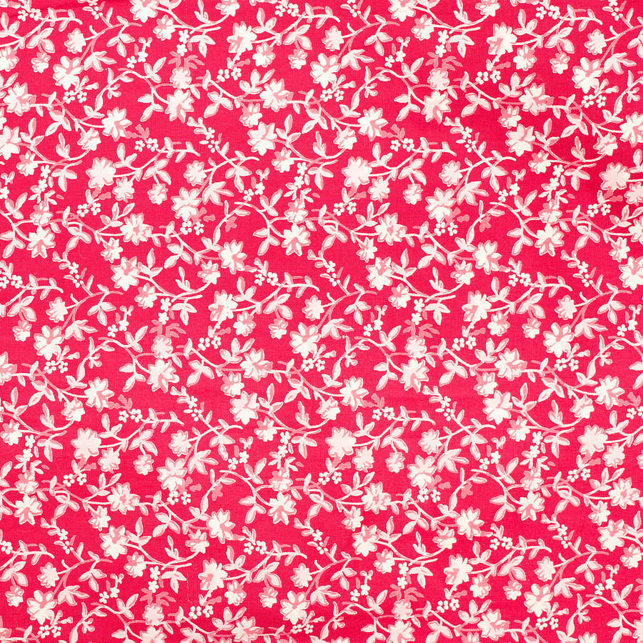 Floral Fabric Photograph by Tom Gowanlock