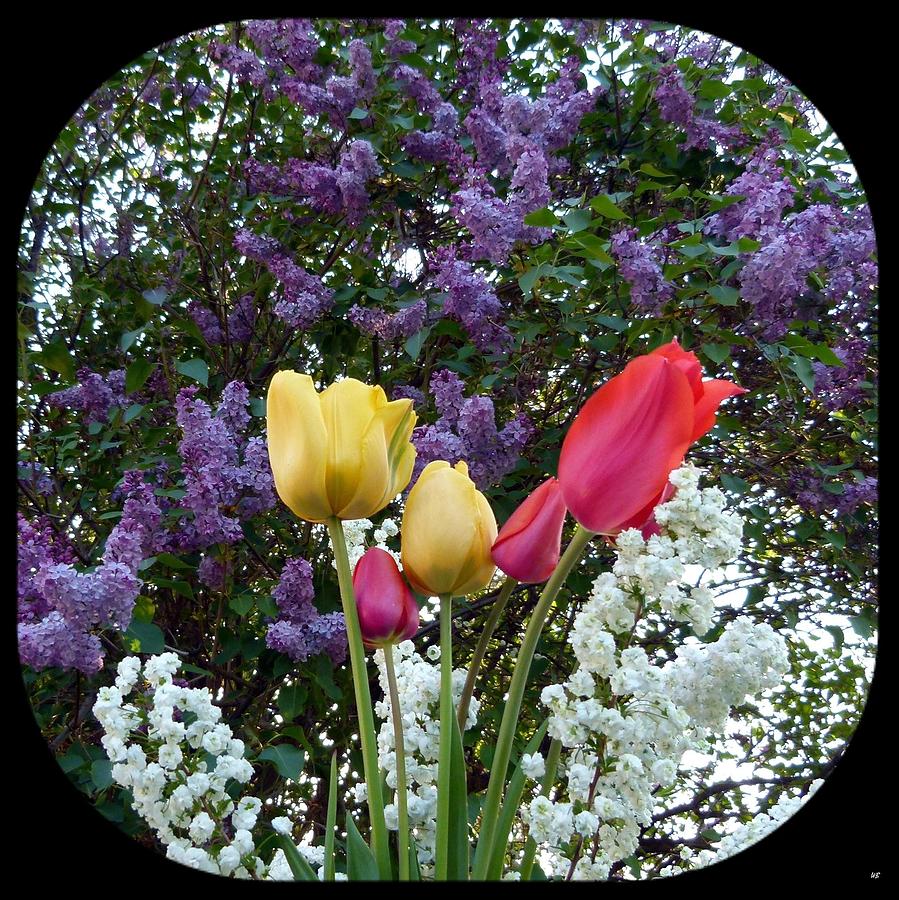 Floral Profusion Photograph