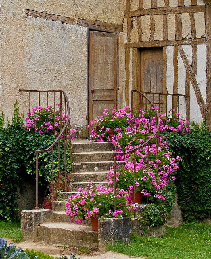 Floral stairs Photograph by David Freuthal