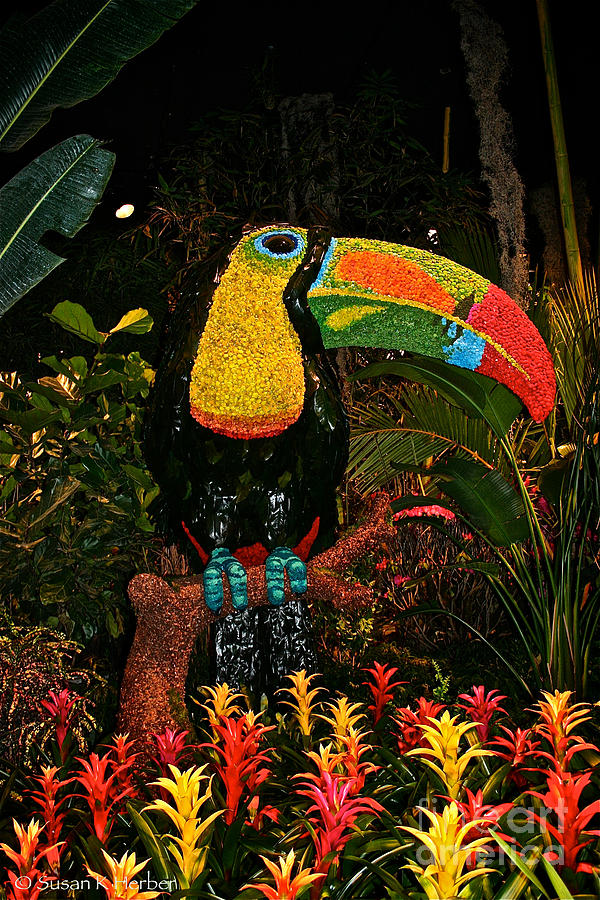 Floral Tropical Bird Photograph by Susan Herber