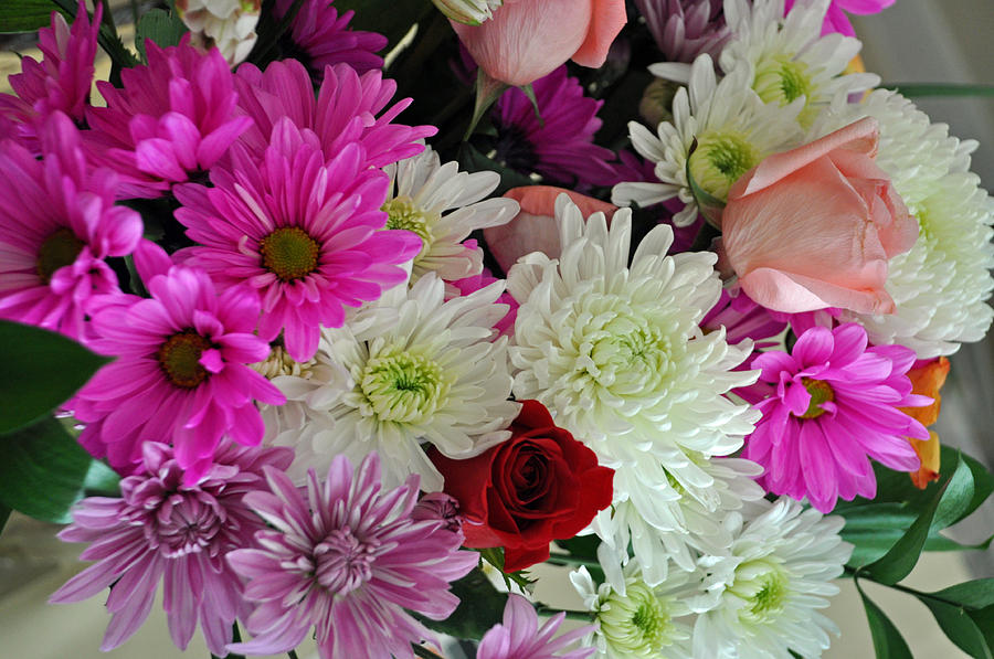 Floral Variety Photograph by Teresa Blanton