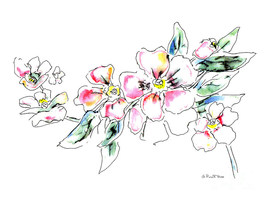 Floral Watercolor Drawings 5 Painting by Gordon Punt - Fine Art America