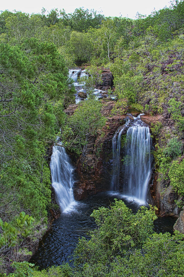 Florence Falls V2 Photograph by Douglas Barnard