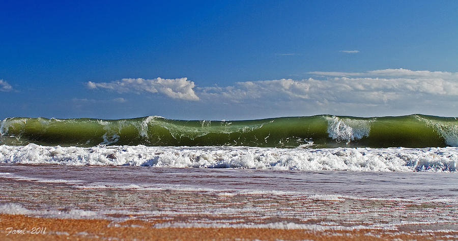 Florida Beach Photograph by Farol Tomson