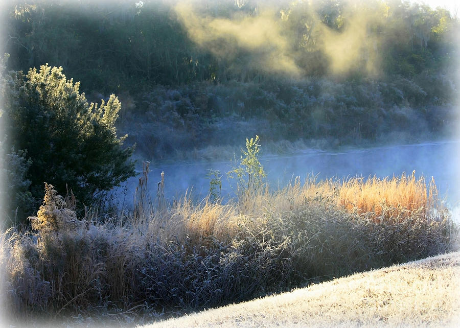 Florida Frosty Morning Photograph by Carol Groenen