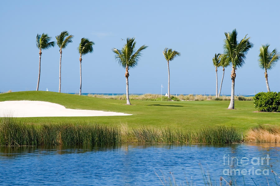 Florida Gold Coast Resort Golf Course Photograph by ELITE IMAGE photography By Chad McDermott
