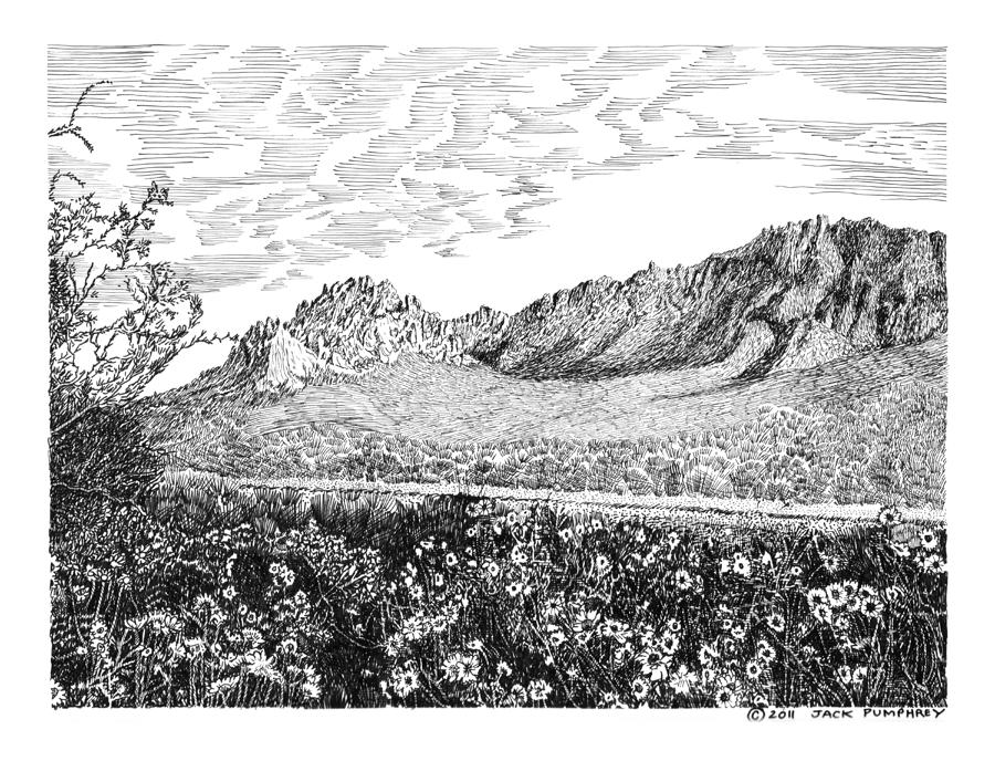 Florida Mountains and Poppies Drawing by Jack Pumphrey