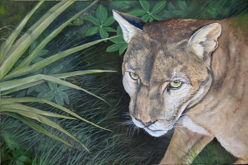 Florida Panther Painting by Linda Barone