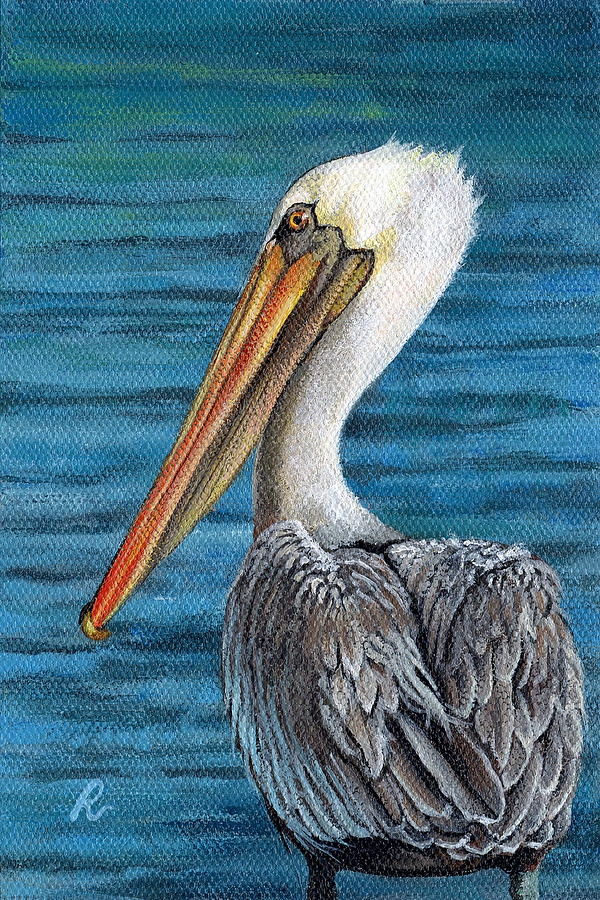 Florida Pelican Painting By Peggy Dreher Fine Art America