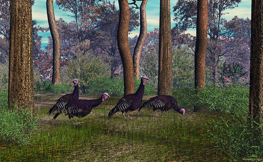 Florida Race Turkeys Digital Art by Walter Colvin