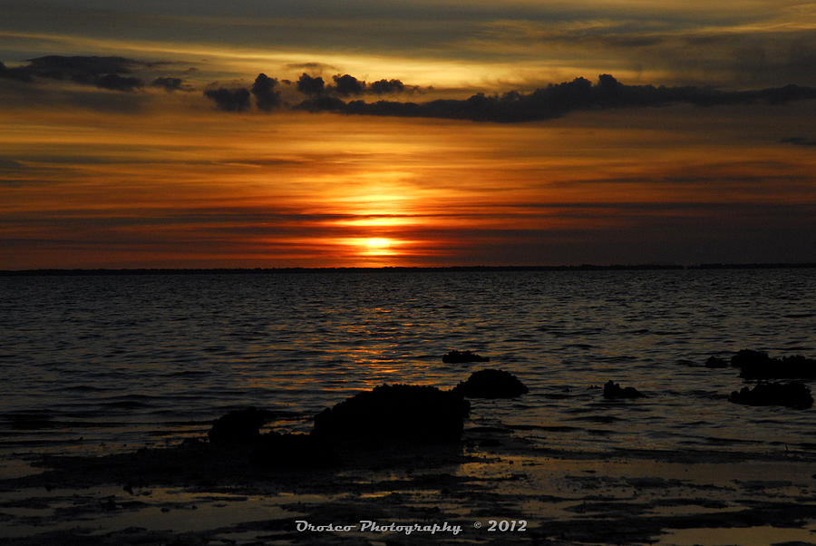 Sunset Photograph - Florida Southern Lights by G Adam Orosco