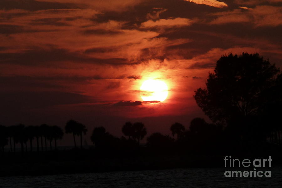 Florida Sunset Photograph by Anna  Duyunova