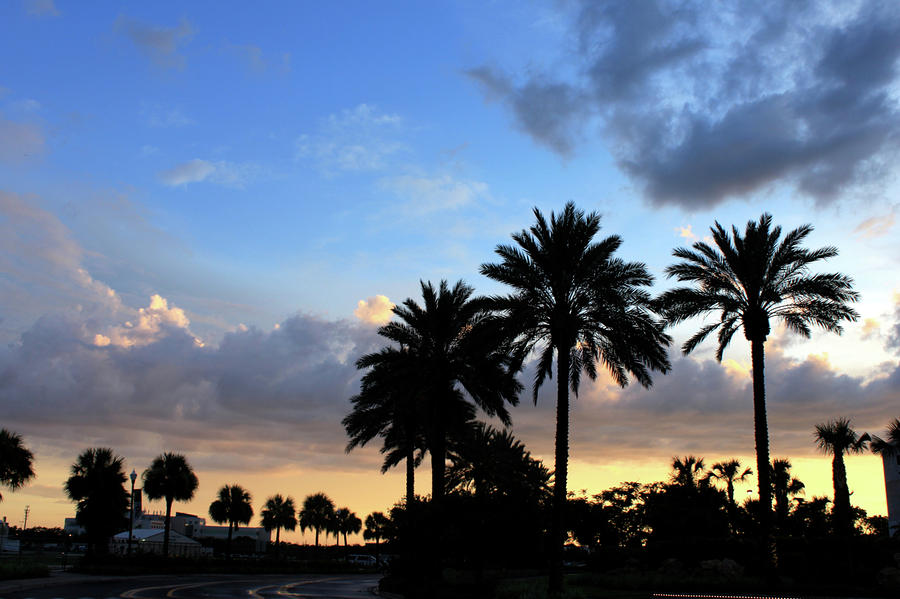 Florida Sunset Photograph by Jeanne Juhos