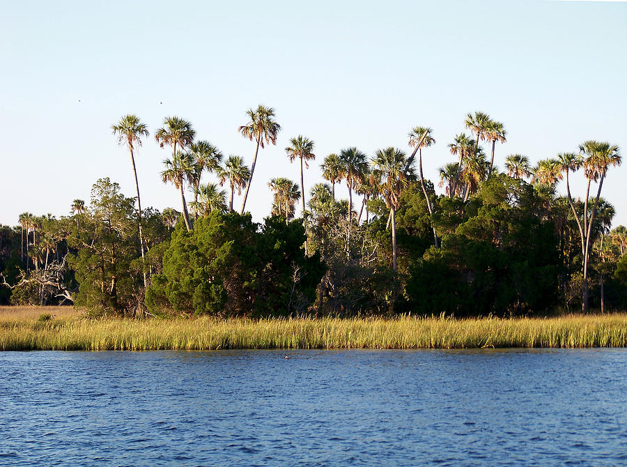 Florida Waterscape Photograph by Judy Wanamaker