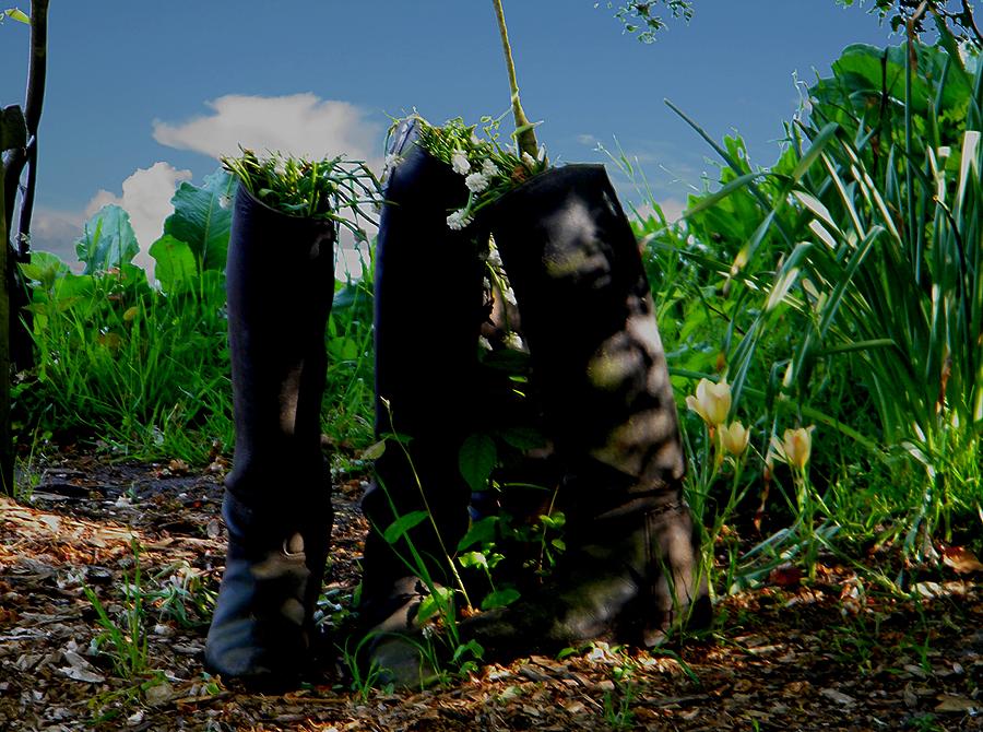 Flourishing boots Photograph by Manuela Constantin