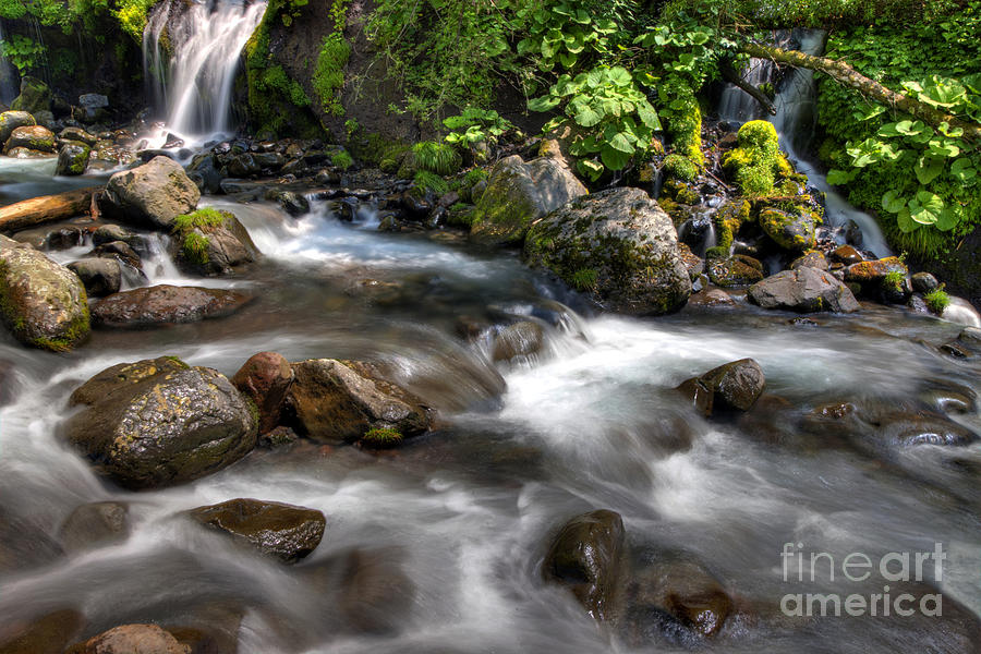 Flow Photograph By Tad Kanazaki - Fine Art America