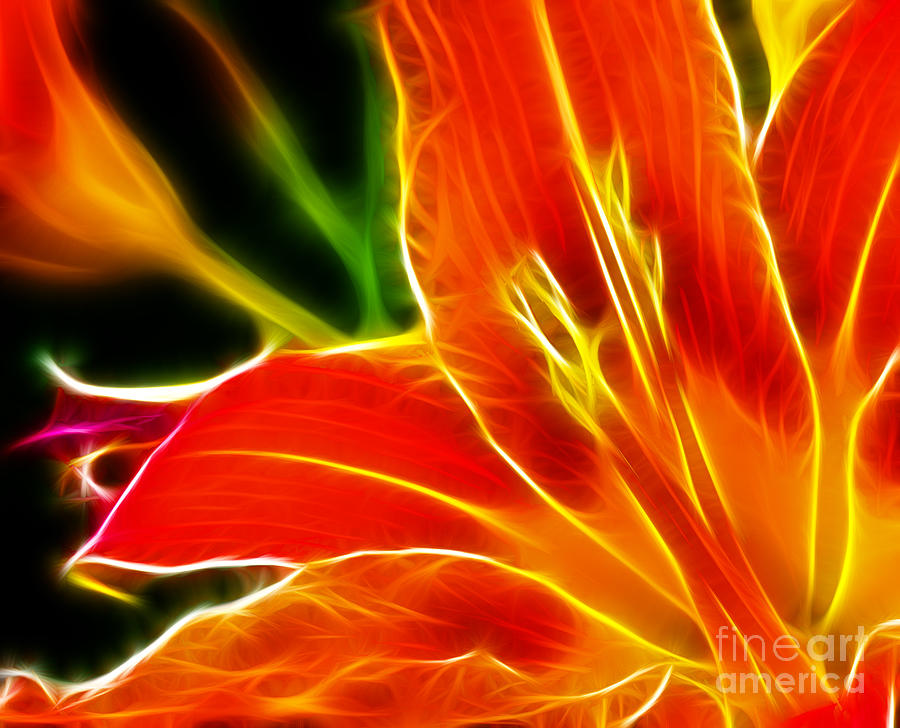 Lily Photograph - Flower - Electric Lily - Abstract by Paul Ward
