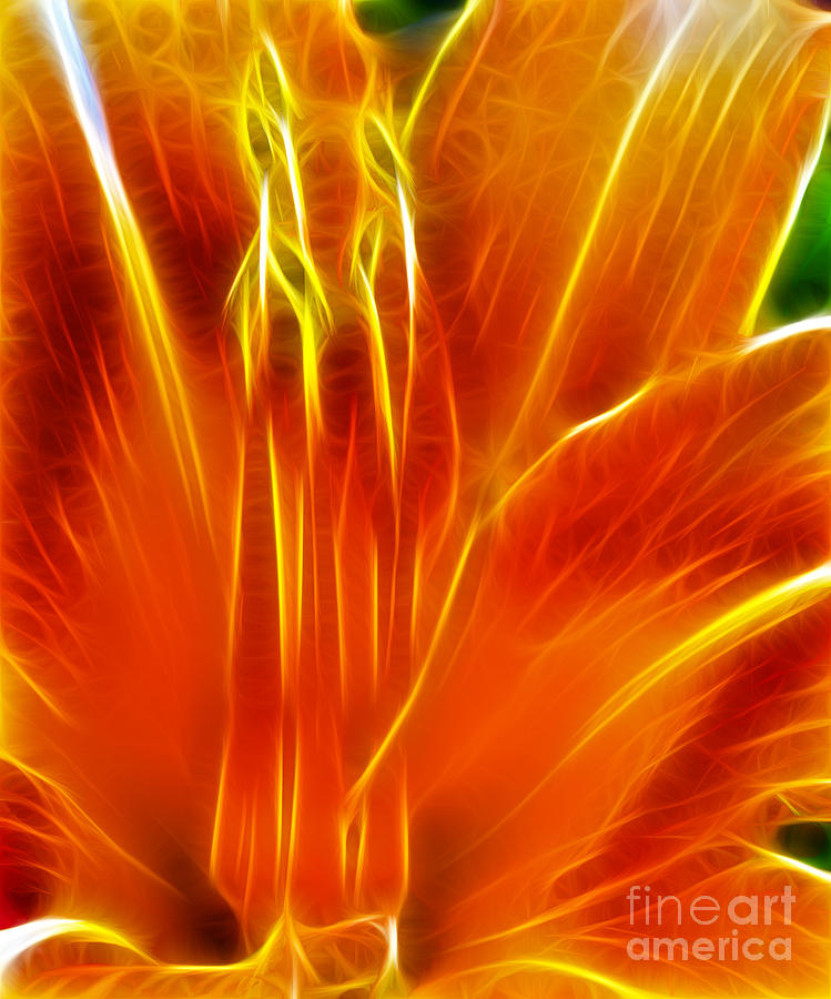 Flower - Orange - Abstract Photograph by Paul Ward