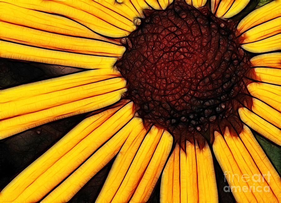 Flower - yellow and brown - abstract Photograph by Paul Ward