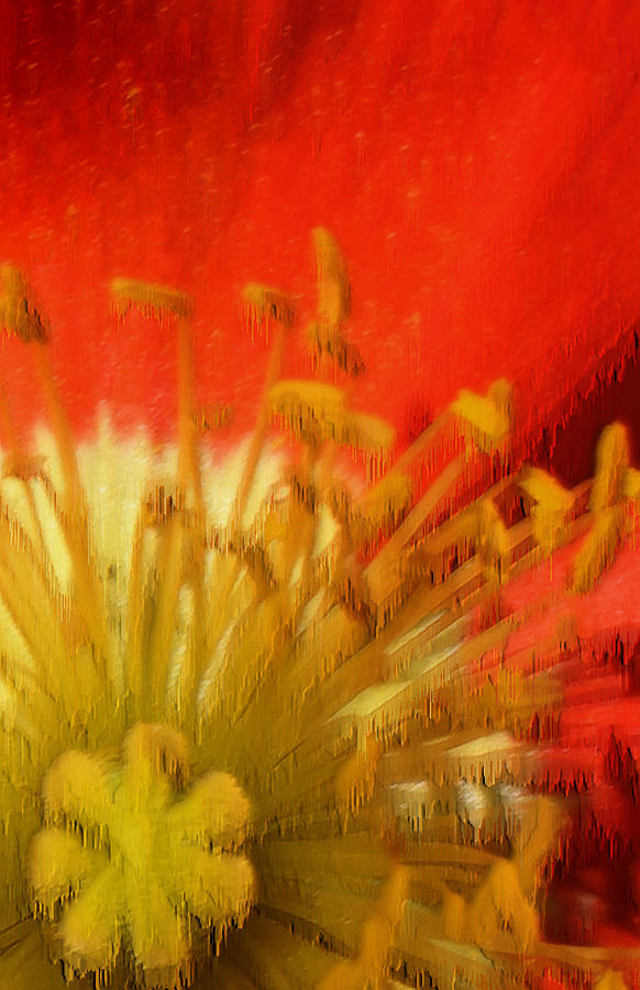 Flower Abstract Photograph by T R Maines