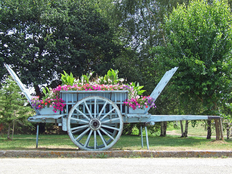 Flower Cart Normandy France Photograph by Joseph Hendrix