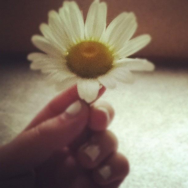 Daisy Photograph - #flower #daisy #white #yellow #nails by Kayla St Pierre