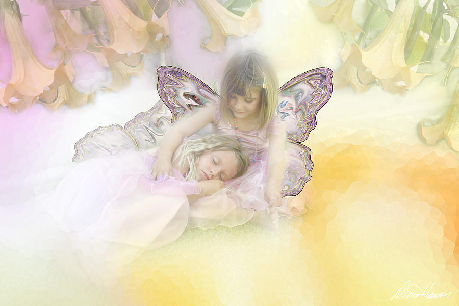 Flower Fairies Photograph by Diana Haronis
