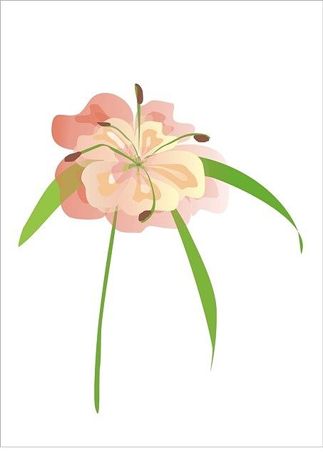 Flower from my imagination Digital Art by Galina Tkacheva