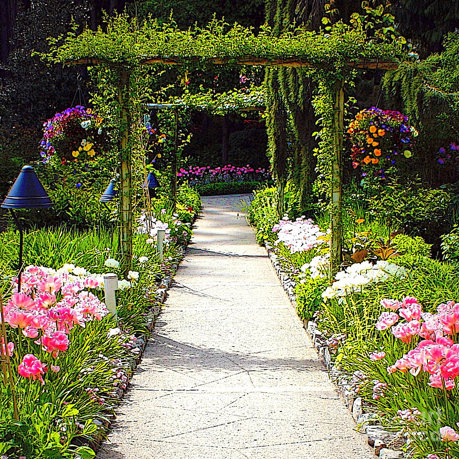 Flower Garden - Digital Painting Photograph by Carol Groenen