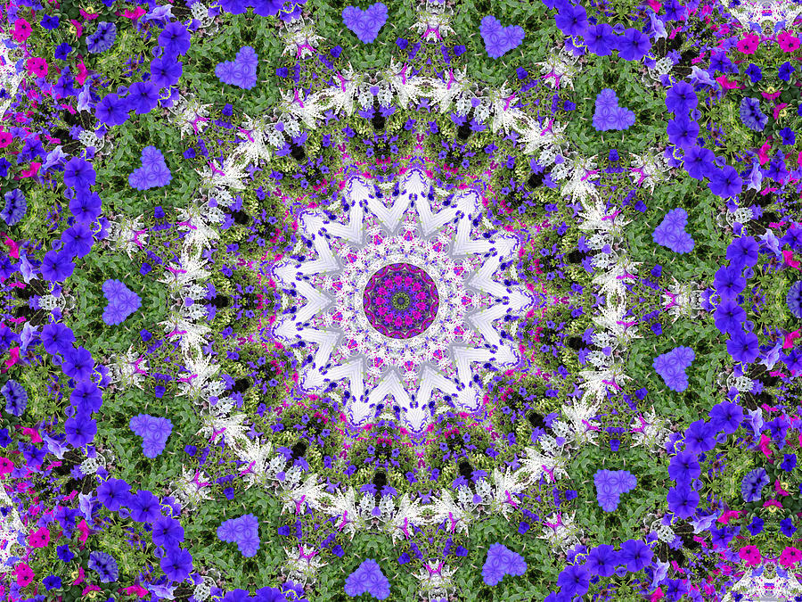 Flower Garden 3 Digital Art by Rhonda Barrett