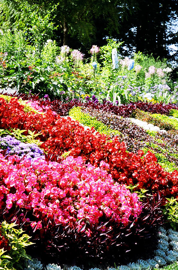 Flower Garden Versailles Photograph by Donna L Munro