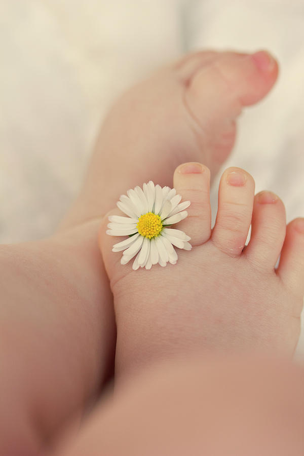Flower In Baby Toes. Photograph by Augenwerke-Fotografie / Nadine Grimm Flower In Baby Toes. Photograph by Augenwerke-Fotografie / Nadine Grimm