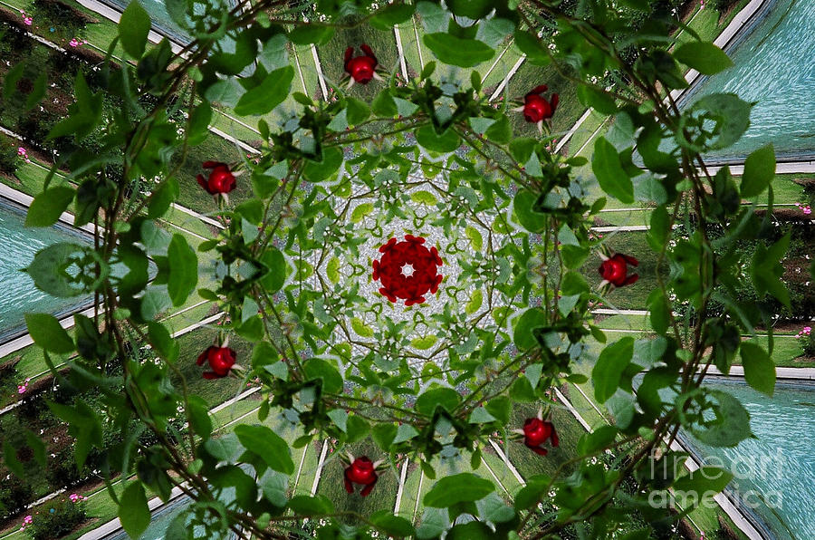 Flower Kaleidoscope Digital Art by Donna L Munro