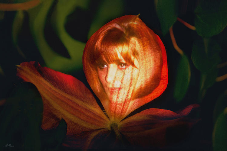 Fantasy Photograph - Flower Maiden Card by John Neville Cohen