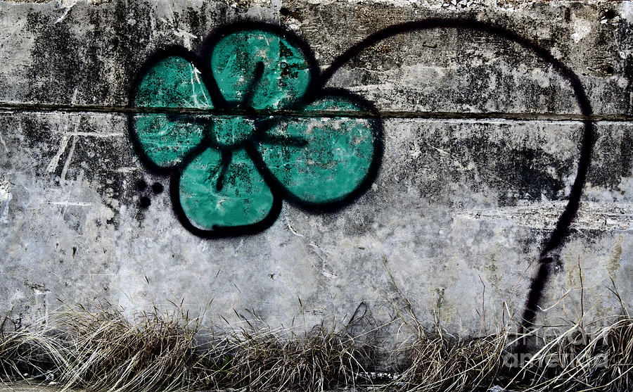 Concrete Photograph - Flower On The Rocks by Elena Nosyreva