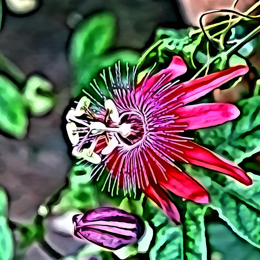 Flower Painting 0001 Digital Art by Metro DC Photography
