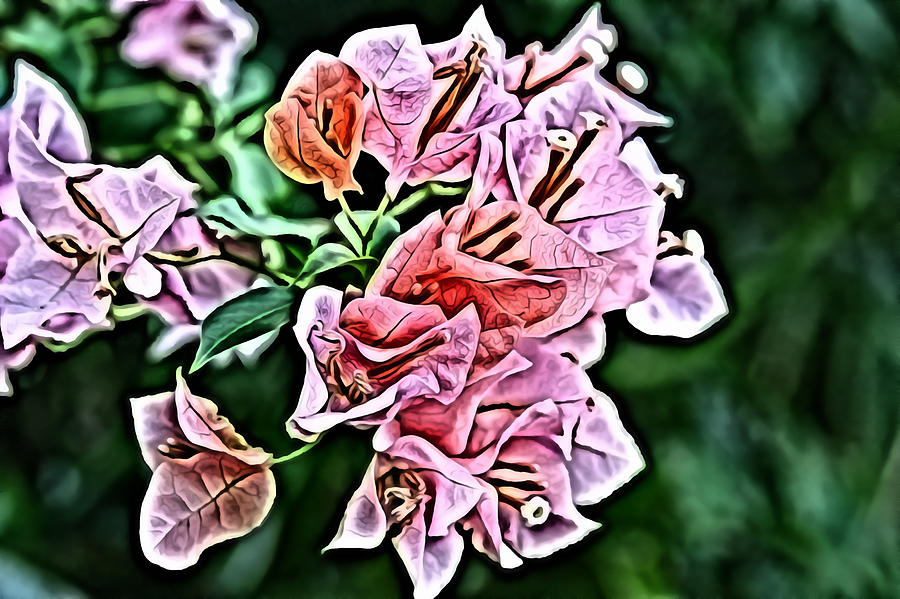 Flower Painting 0005 Digital Art by Metro DC Photography