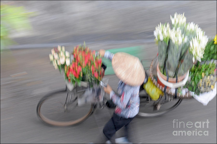 Flower seller Photograph by Marion Galt
