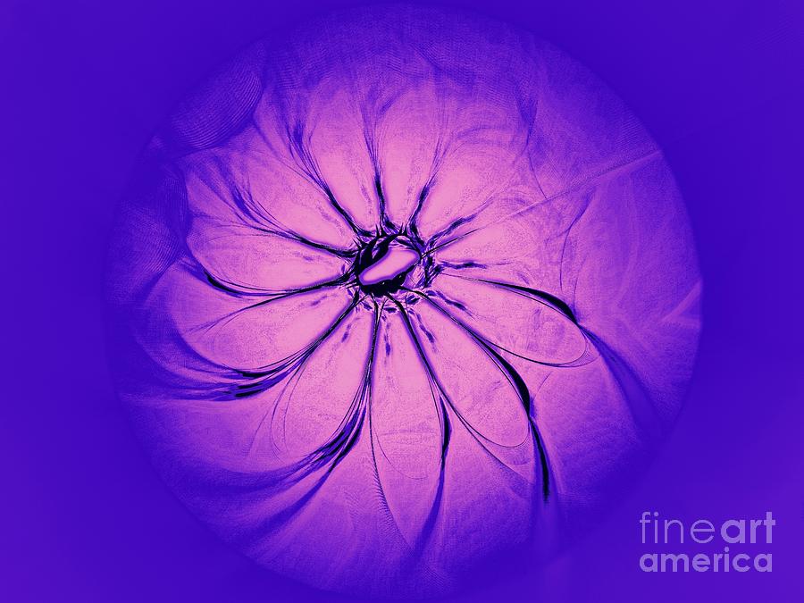 Flower Series 3 Digital Art By Klara Acel Fine Art America