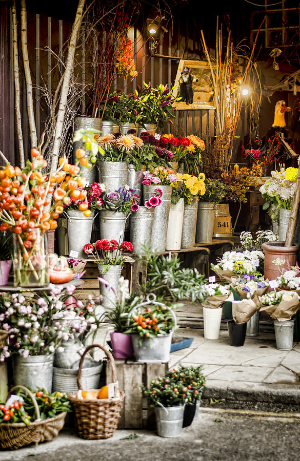 Flower Photograph - Flower Shop by Heather Applegate