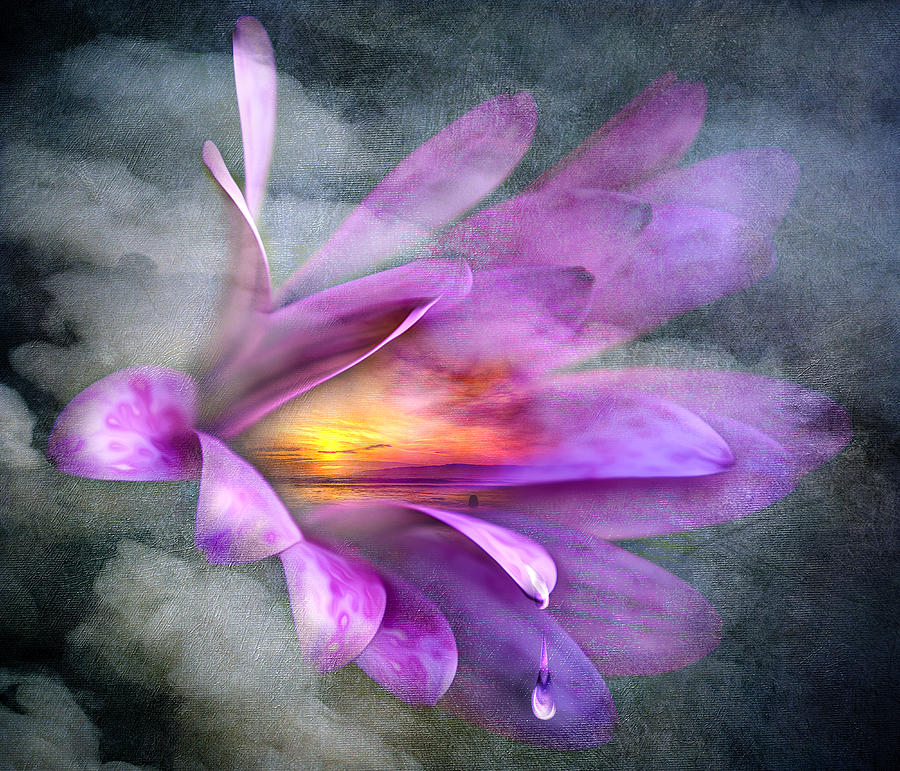 Flower Spirit Digital Art by Svetlana Sewell